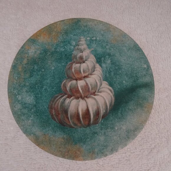 CoasterStone Set of 4 Drink Coasters Absorbent Seahorse Shell Beach Ocean Sea - Picture 7 of 11